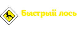 Магазин Быстрый лось